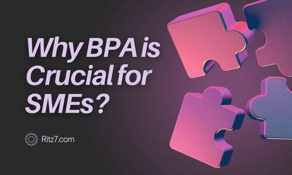 Why BPA is Crucial for SMEs? - ritz7